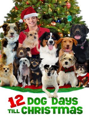 cover image of 12 Dog Days till Christmas